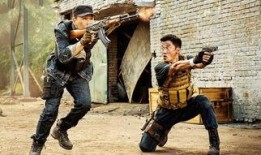 战狼在线观看神马,热血沸腾的国产军事巨制